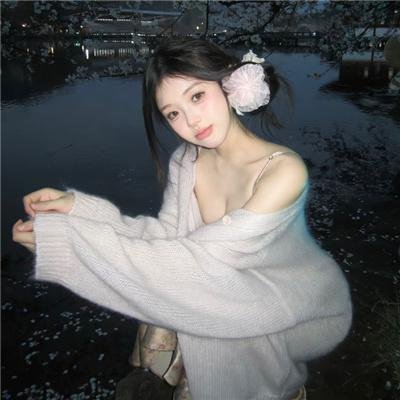 完美的主人